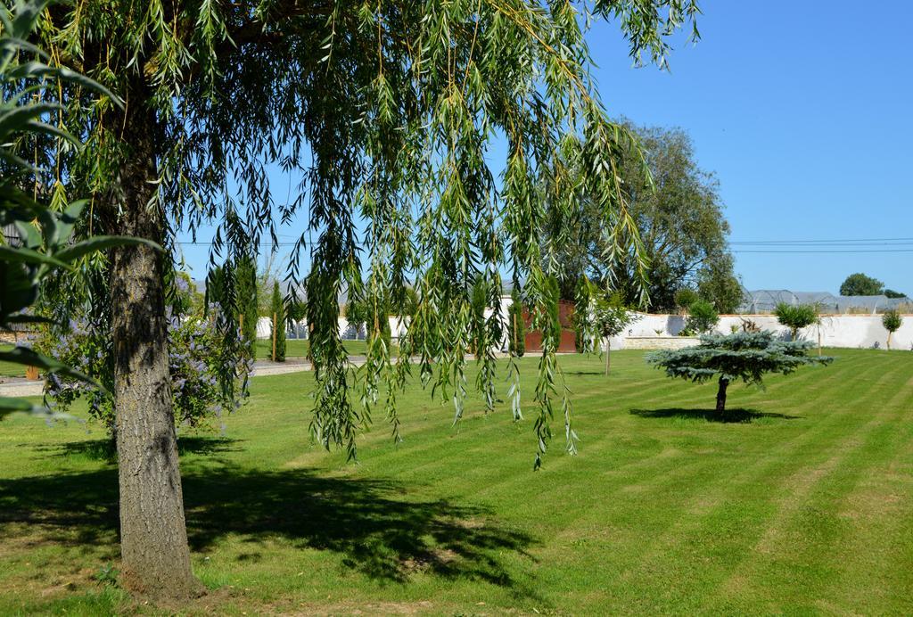 Le Coteau De Bazeille Sauna&Detente Sas Sainte-Bazeille Esterno foto