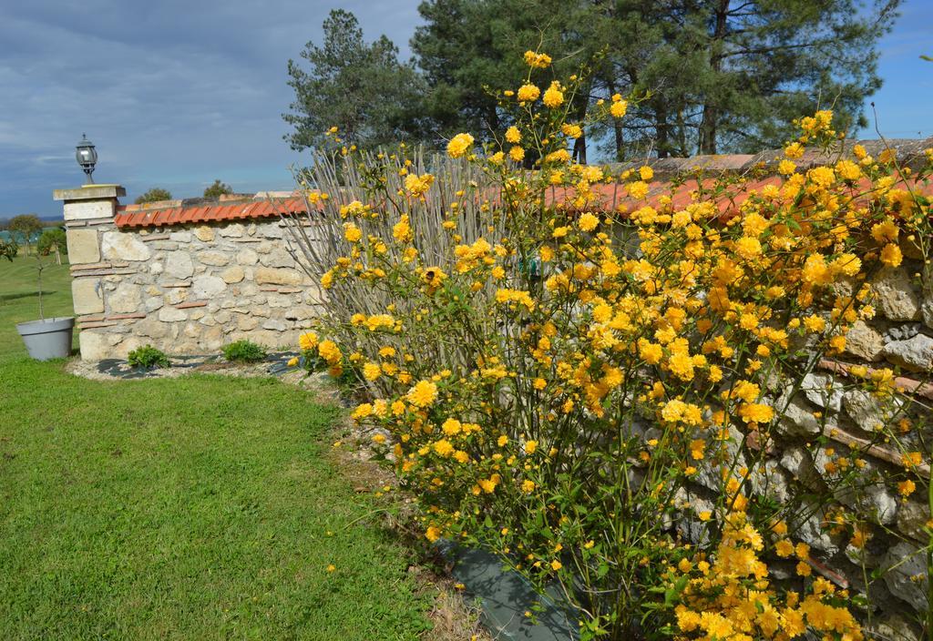 Le Coteau De Bazeille Sauna&Detente Sas Sainte-Bazeille Esterno foto