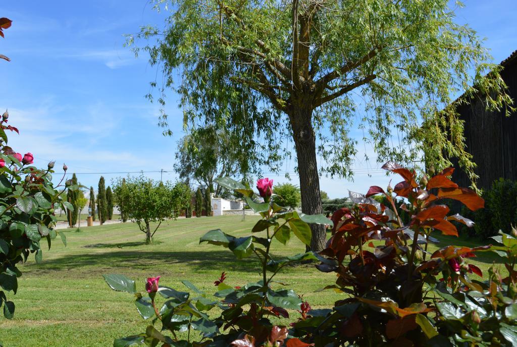 Le Coteau De Bazeille Sauna&Detente Sas Sainte-Bazeille Esterno foto